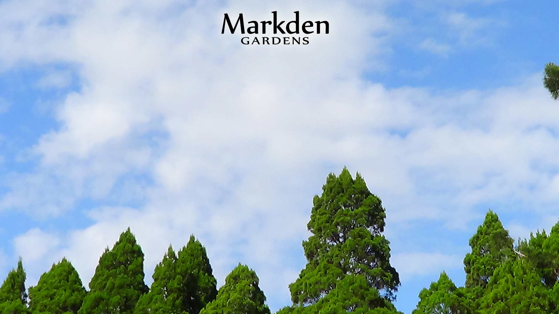 Markden Gardens