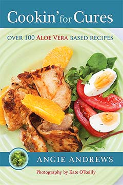 Softcover A4 Book + 3 FREE Recipe Cards PDF Cover